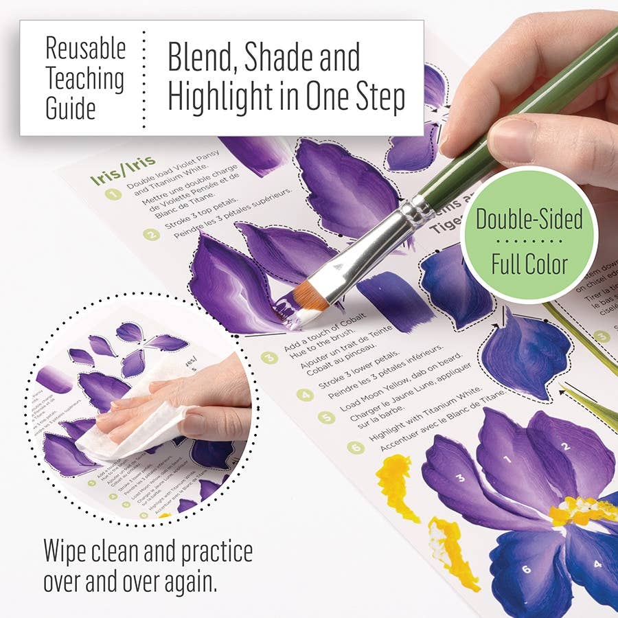 Learn To Paint - Iris