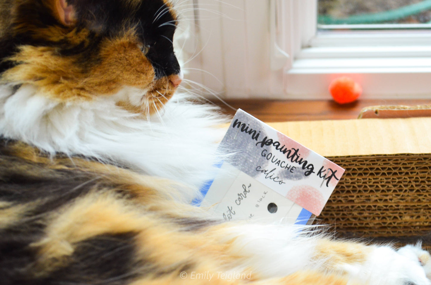 Mini Painting Bundle- Animal Friends: With Brush