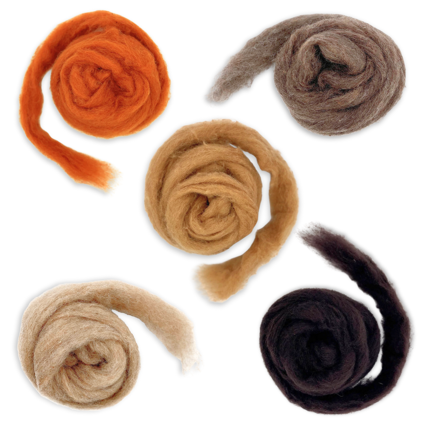 Autumn Harvest Carded Corriedale Wool Sliver Variety Pack