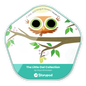 The Little Owl Collection