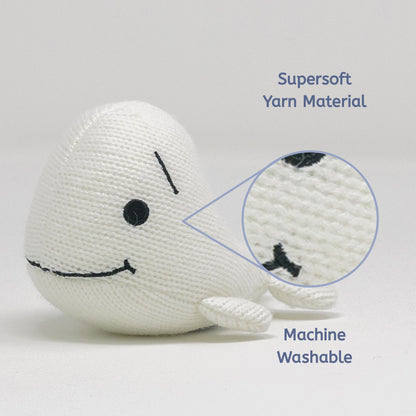 Raffi: Baby Beluga