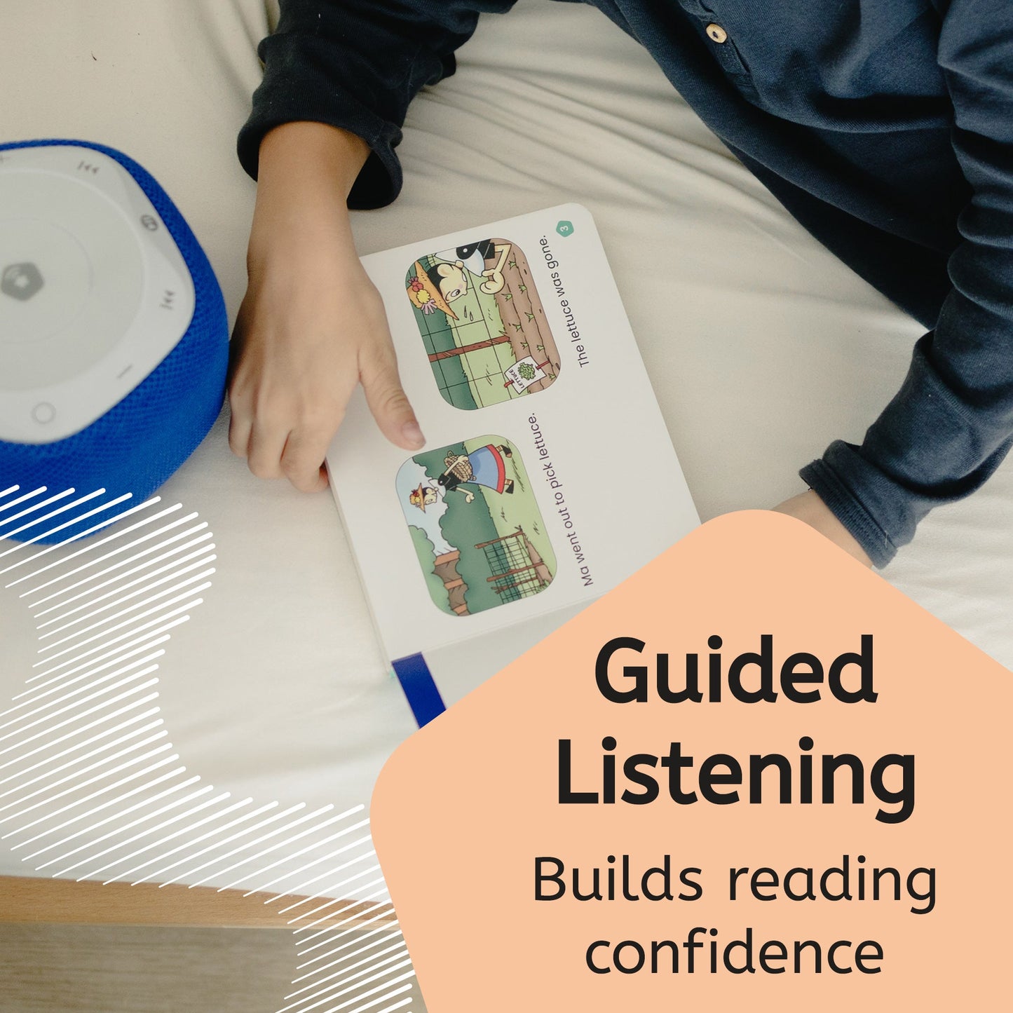 The Timbertoes: Meeting Animals