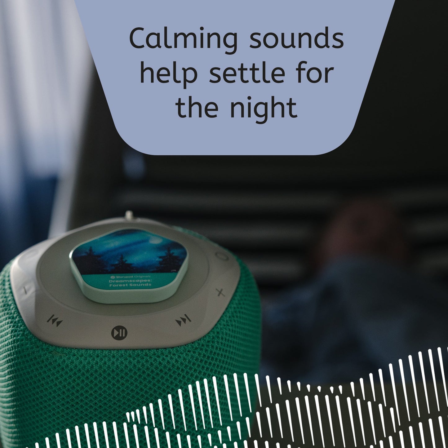 Baby Learn & Dream Bundle - Bear