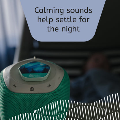 Baby Learn & Dream Bundle - Bear