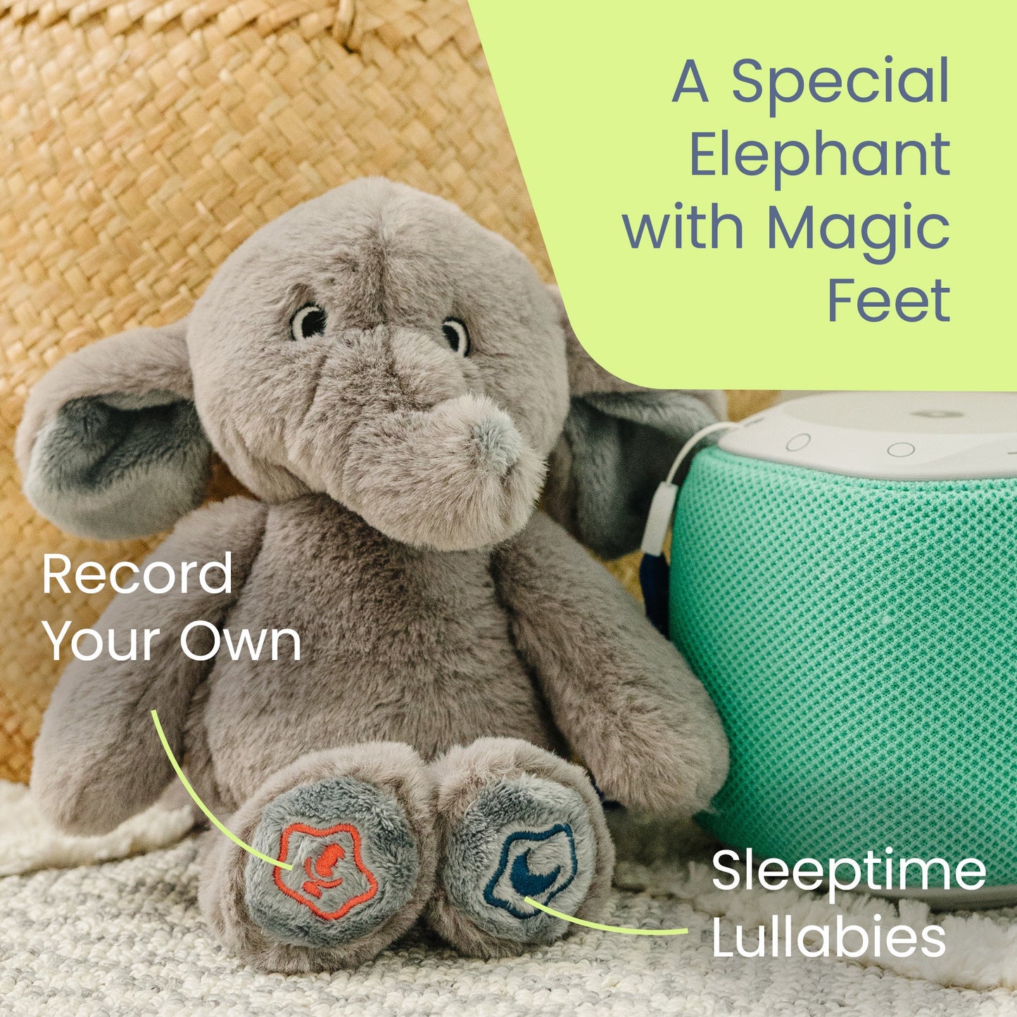 Baby Learn & Dream Bundle - Elephant