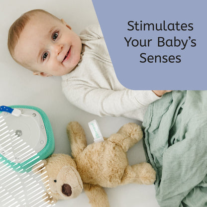 Baby Learn & Dream Bundle - Bear