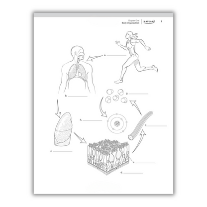 Anatomy Coloring Book: 10th Edition (Spiral Bound)