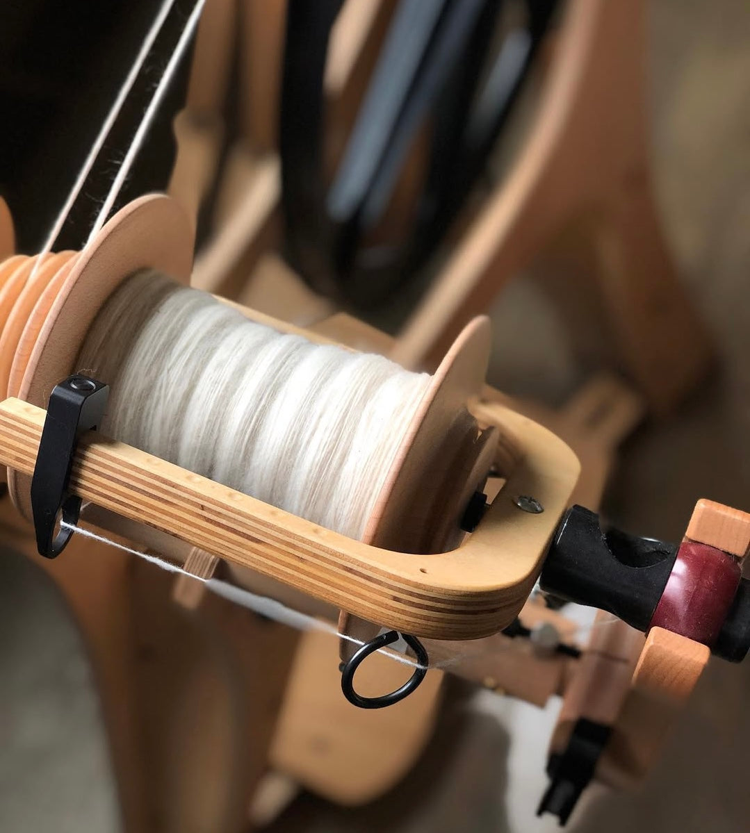 Polwarth Wool Top