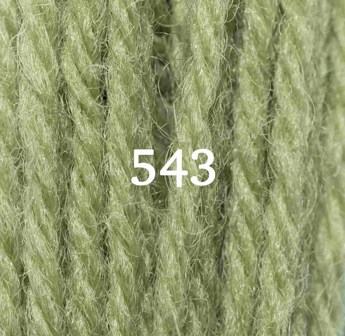 Appletons Wool Yarn - Early English Green 541 - 548