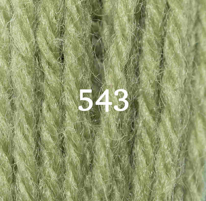 Appletons Wool Yarn - Early English Green 541 - 548
