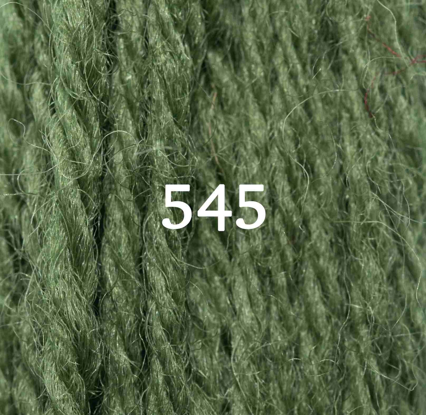 Appletons Wool Yarn - Early English Green 541 - 548