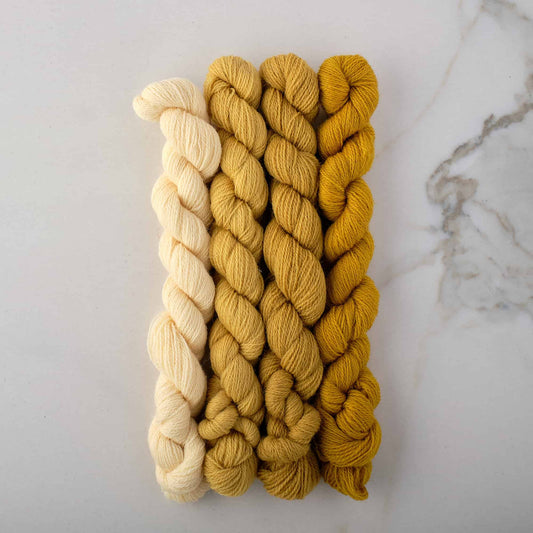 Appletons Wool Yarn - Heraldic Gold 841 - 844