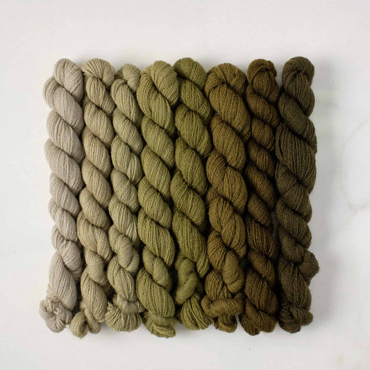 Appletons Wool Yarn - Mid Olive Green 341 - 348