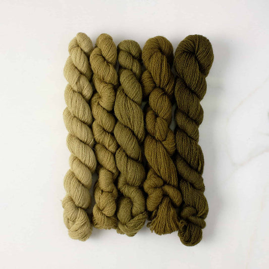 Appletons Wool Yarn - Olive Green 241 - 245