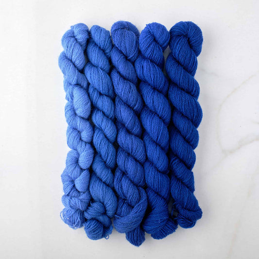 Appletons Wool Yarn - Royal Blue 821-825
