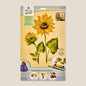 Learn To Paint - Sunflower