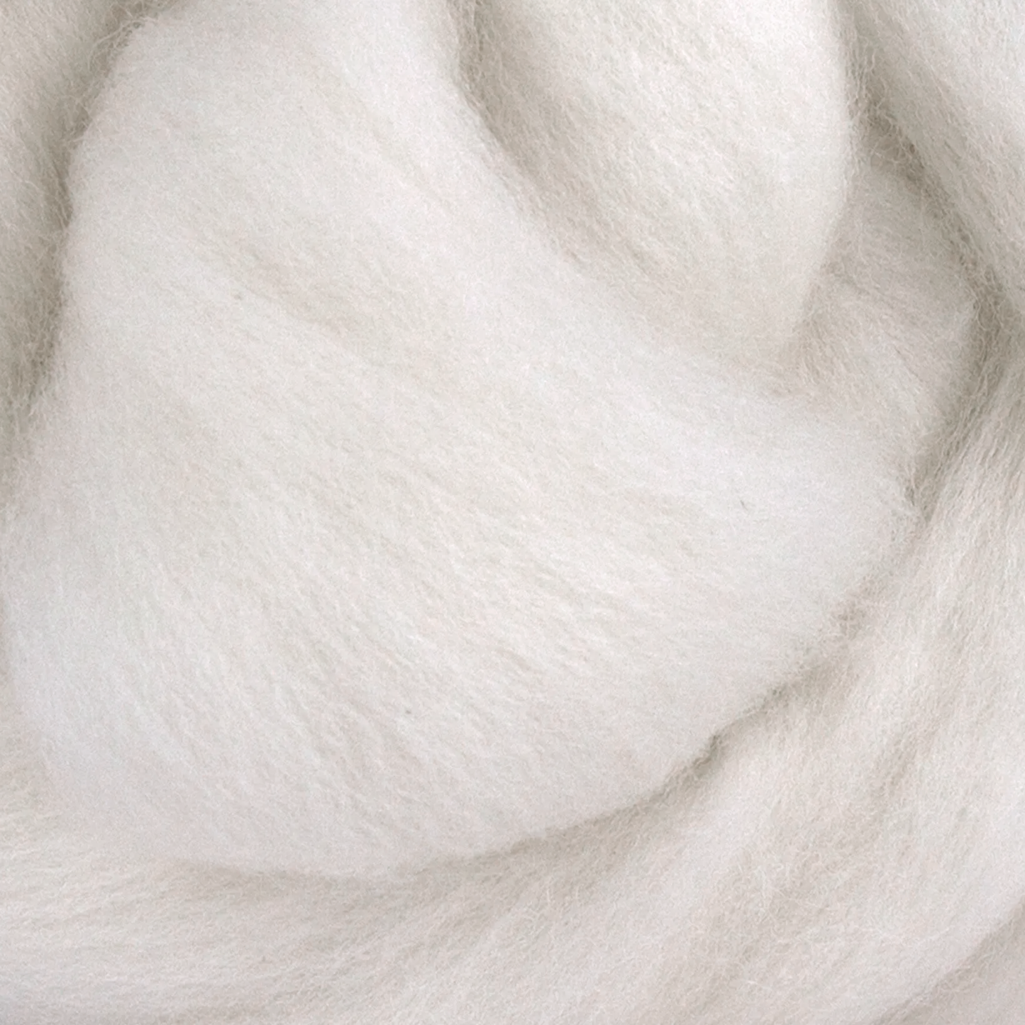Polwarth Wool Top