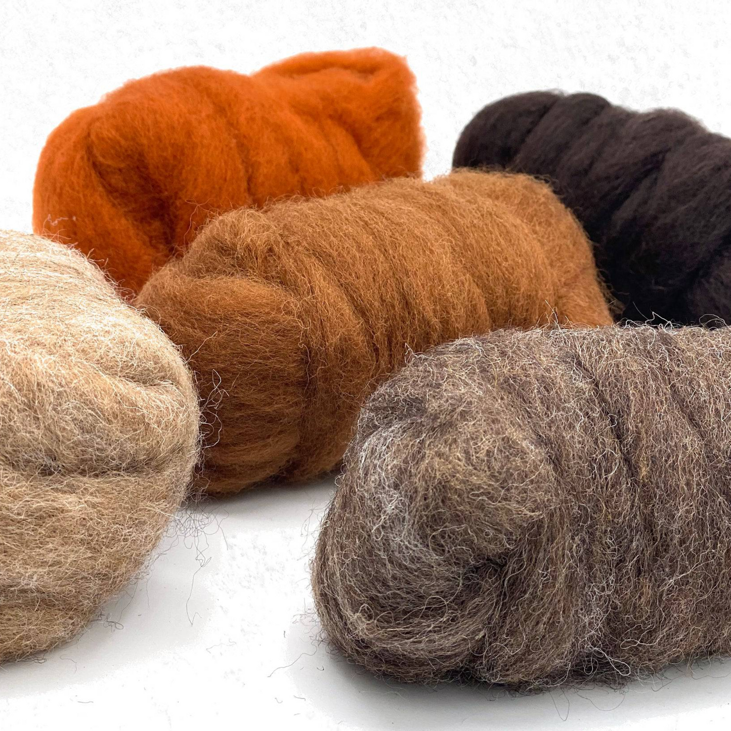 Autumn Harvest Carded Corriedale Wool Sliver Variety Pack