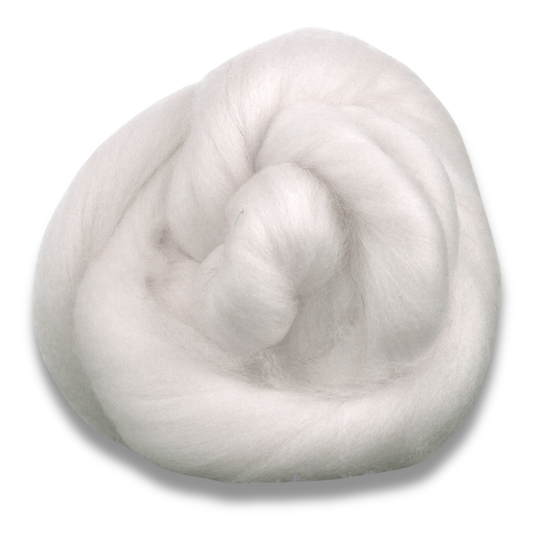 Polwarth Wool Top
